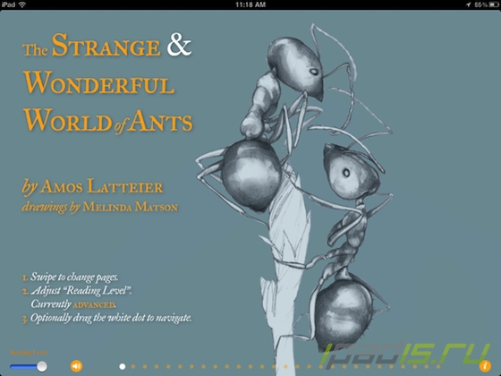 The Strange & Wonderful World of Ants -  