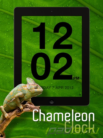 Chameleon Clock - -
