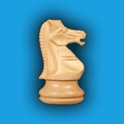 Шахматы+ - настольная игра с мировой известностью теперь и на iPad