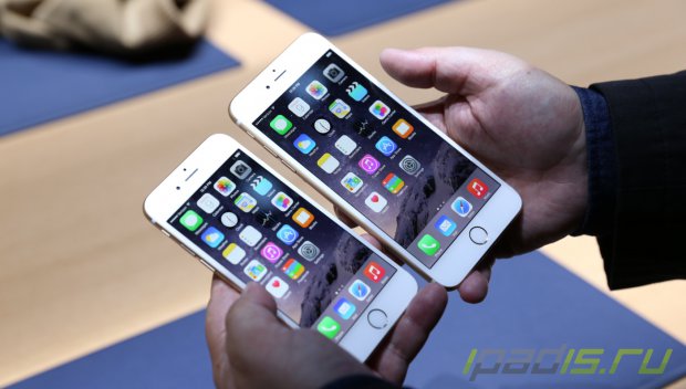 iPhone 6 Plus завоевал 41% рынка смартпэдов