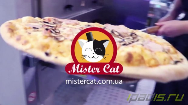 Представляем пиццу Mister Cat: новый вкусный вариант для любителей пиццы во всем мире!
